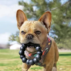 Kong Extreme Ring mordedor para perros Sale