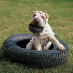 Kong Extreme Traxx neumático mordedor para perros