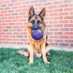 Kong Flexball Pelota para perros Best