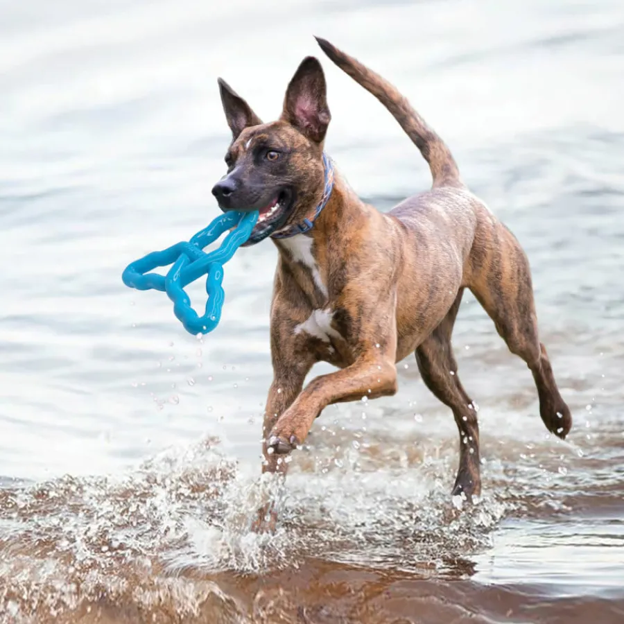 Kong Flyangle Juguete para perros