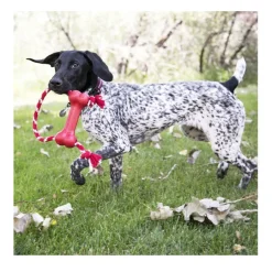 Kong Goodie Bone Hueso con cuerda para perros Clearance