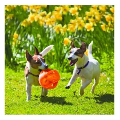 Kong Jumbler pelota en colores surtidos para perros Best