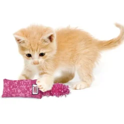 Kong Kickeroo Juguete con plumas para gatitos