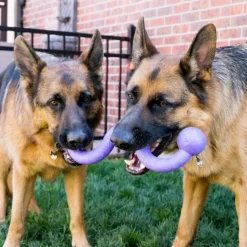 Kong Ogee Curvas Mordedor para perros Sale