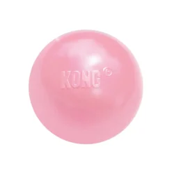 Kong Puppy pelota con orificio para perros