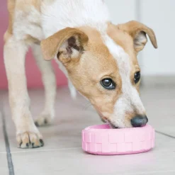 Kong Puppy Tire juguete para perros Best