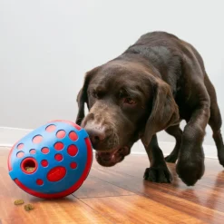 Kong Rewards Wally Juguete para perros Outlet