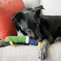 Kong Shakers Cuckoos Pájaro de Juguete para perros