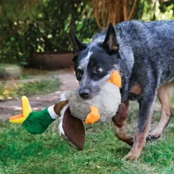 Kong Shakers Honkers Pato de peluche para perros Discount