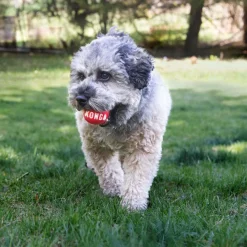 Kong Signature Ball 2-PK pelotas para perros Sale