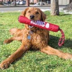Kong Signature Palo con Cuerda para perros Hot