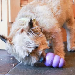 Kong Sénior mordedor para perros Sale