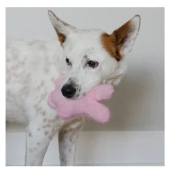 Kong Snuzzles Kiddos Conejo de peluche para cachorros Best