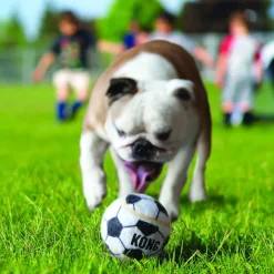 Kong Sport Kit de pelotas para perros Online