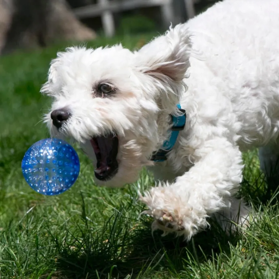 Kong Squeezz Geodz Pelota con Sonido para perros Hot