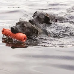 Kong Training Dummy cilindro de juguete para perros Online