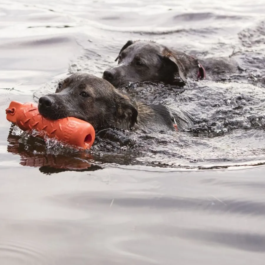 Kong Training Dummy cilindro de juguete para perros Online