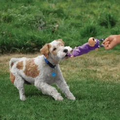 Kong Tugger Knots Rana con cuerda de peluche para perros Online