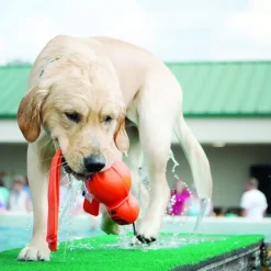 Kong Wubba Acuático juguete para perros Best