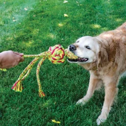 Kong Wubba Weaves Cuerda para perros Clearance