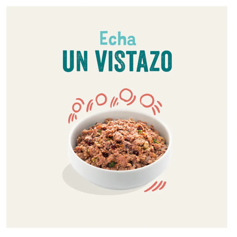 Edgard & Cooper Lata Senior Pollo y Salmón lata para perros Hot