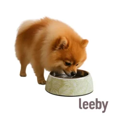 Leeby comedero acero inoxidable estampado verde para perros Sale