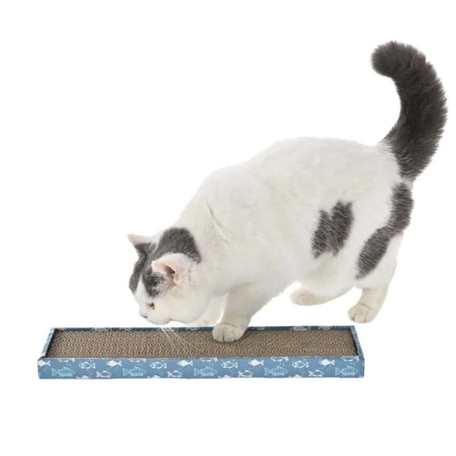 Leeby Fitz tabla rascador de cartón azul para gatos Discount