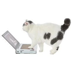 Leeby Lola rascador de cartón en forma de ordenador para gatos Sale