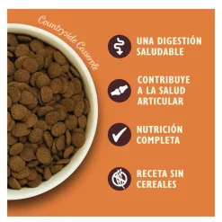 Lily's Kitchen Adult Pollo y Pato pienso para perros Sale
