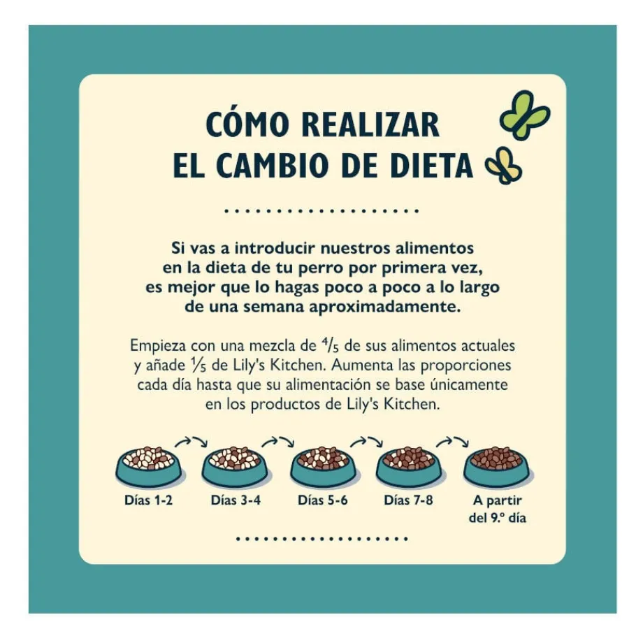 Lily's Kitchen Adult Supper Salmón pienso para perros Outlet