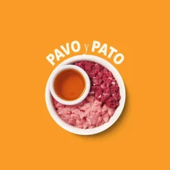 Lily's Kitchen Feline Smooth Selection paté tarrinas para gatos Best