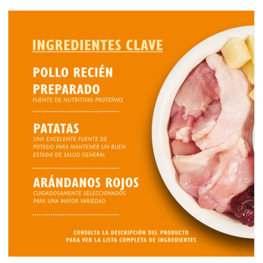 Lily's Kitchen Grain Free Pollo pienso para gatos Best