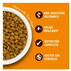 Lily's Kitchen Grain Free Pollo pienso para gatos Best