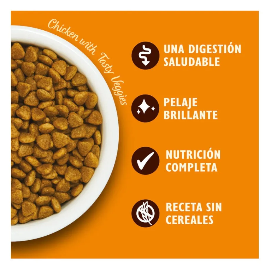Lily's Kitchen Grain Free Pollo pienso para gatos Best