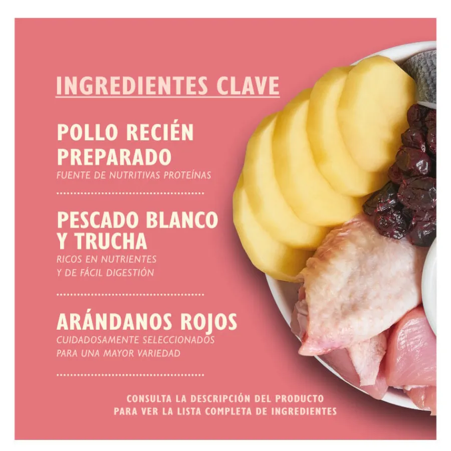 Lily's Kitchen Kitten Pollo pienso para gatos Clearance