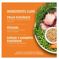 Lily's Kitchen Organic pollo tarrina para perros
