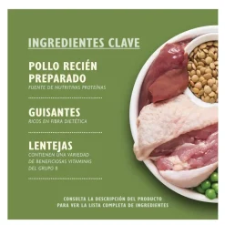 Lily's Kitchen Organic Pollo y Verdura pienso para perros New