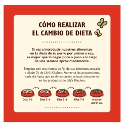 Lily's Kitchen Organic Ternera Tarrina para perros New