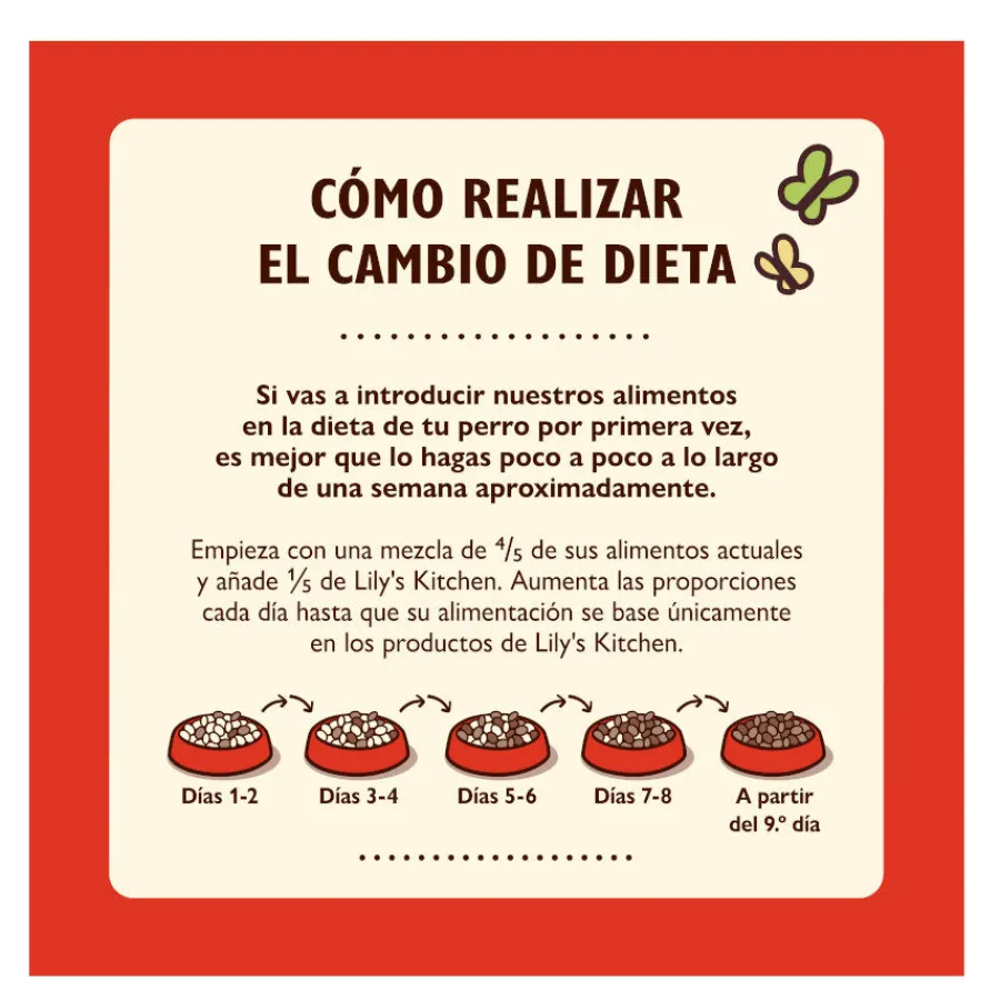 Lily's Kitchen Organic Ternera Tarrina para perros New
