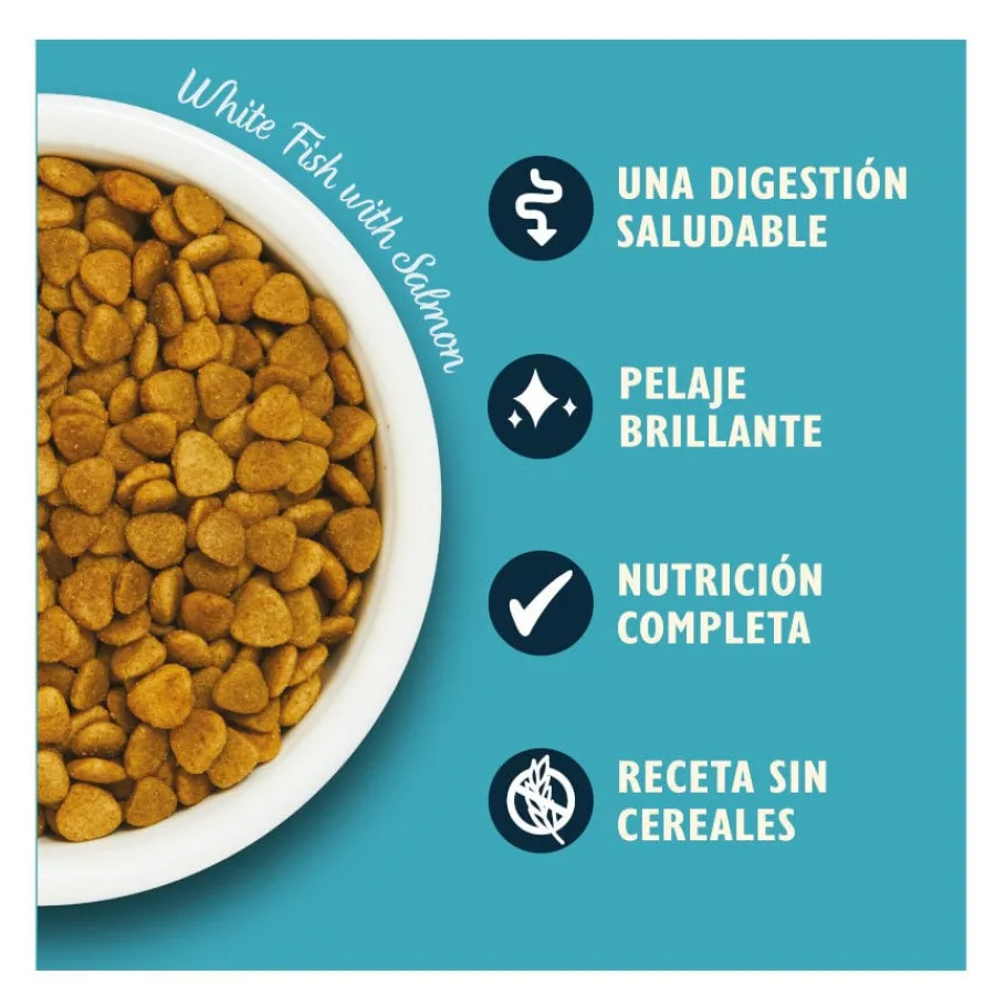 Lily's Kitchen Pescado blanco pienso para gatos Hot