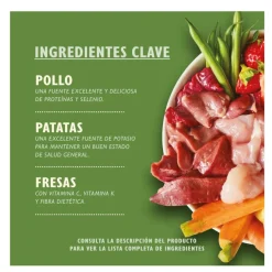 Lily's Kitchen pollo y fresas lata para perros Outlet