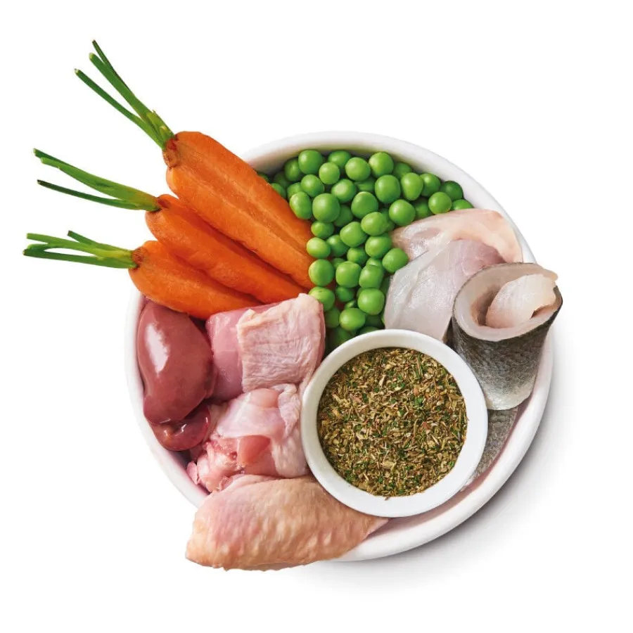 Lily's Kitchen Puppy Organic Pollo tarrina Sale