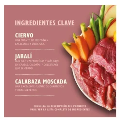 Lily's Kitchen Venado y Jabalí lata para perros Outlet