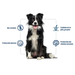 Nath Adult Medium Maxi Sensitive Pescado Blanco y Salmón pienso para perros