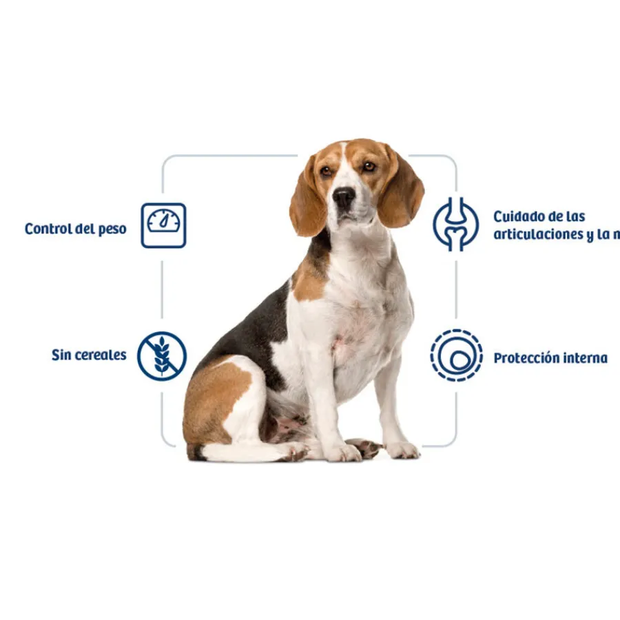 Nath Adult Medium Maxi Weight Control Pienso para Perros Outlet