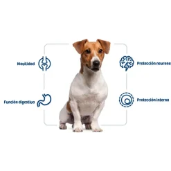 Nath Adult Mini Pollo pienso para perros Clearance
