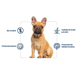 Nath Adult Mini Sensitive Pescado Blanco y Salmón pienso para perros
