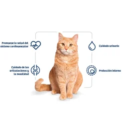 Nath Adult Pollo y Arroz pienso para gatos Sale