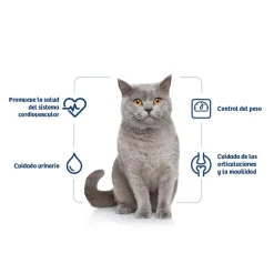 Nath Adult Sterilised Pollo y Arroz pienso para gatos Sale