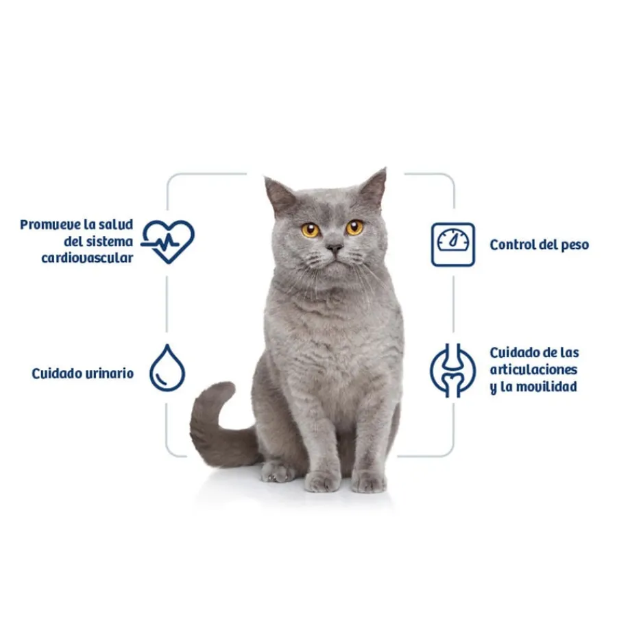 Nath Adult Sterilised Pollo y Arroz pienso para gatos Sale